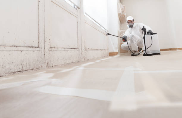 24/7 Emergency Mold Remediation experts in Hamel, MN